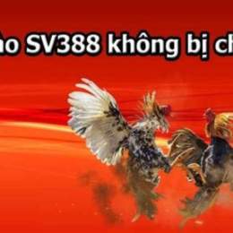 1sv388 link đá gà thomo