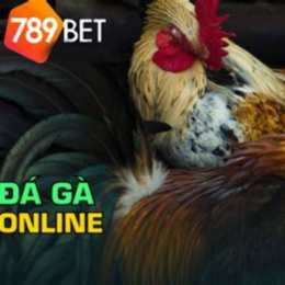 789bet đá gà