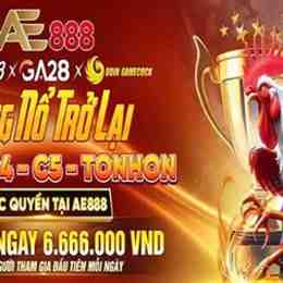 ae888 đá gà thôm