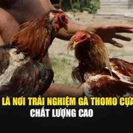 alo789 da ga cua sat