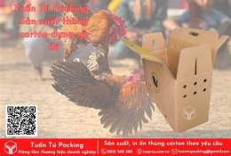 ảnh chụp màn hình bán thùng giấy đựng gà đá