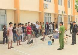 ảnh chụp màn hình bắt đá gà huyện châu thành