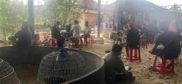 ảnh chụp màn hình bắt đá gà quảng ngãi
