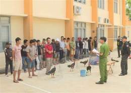 ảnh chụp màn hình bắt trường gà ở đa phước
