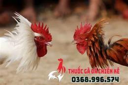 ảnh chụp màn hình cách tăng lực cho gà đá