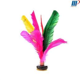 ảnh chụp màn hình cầu đá lông gà tiếng anh