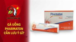 ảnh chụp màn hình cho gà uống pharmaton trước khi đá