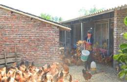 ảnh chụp màn hình chợ tốt gà đã huyện nhà be