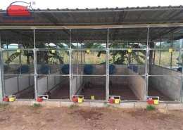 ảnh chụp màn hình chuồng trại gà đá