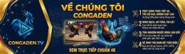 ảnh chụp màn hình congaden trực tiếp đá gà