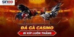 ảnh chụp màn hình đá gà casino 9999