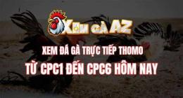 ảnh chụp màn hình đá gà cpc1 hôm nay