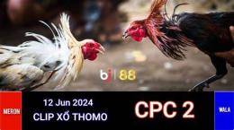 ảnh chụp màn hình đá gà cpc2 24/7