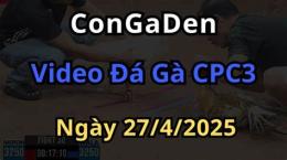 ảnh chụp màn hình đá gà cpc3 ngày 27 6