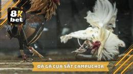 ảnh chụp màn hình da ga cua sat 2016