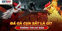 ảnh chụp màn hình đá gà cựa sắt noc88top.com