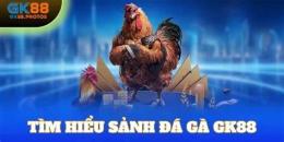 ảnh chụp màn hình đá gà gk88