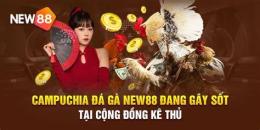 ảnh chụp màn hình đá gà new88 1new88.com
