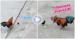 ảnh chụp màn hình da gà nổi lên