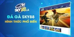 ảnh chụp màn hình đá gà sky88