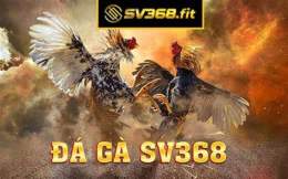 ảnh chụp màn hình đá gà sv368.info