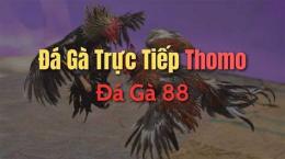 ảnh chụp màn hình đa ga tho moi nhat truc tiep hom nay