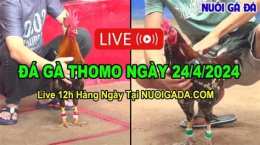 ảnh chụp màn hình da ga thomo 24 5