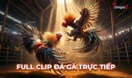 ảnh chụp màn hình đá gà thomo 26 1