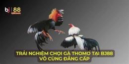 ảnh chụp màn hình đá ga thomo 88