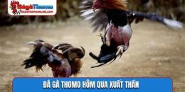 ảnh chụp màn hình đá gà thomo gà xám thần