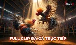 ảnh chụp màn hình đá gà thomo ngày 4 tháng 04