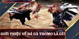 ảnh chụp màn hình da ga thomo truc tiep c3