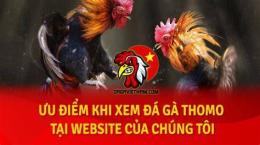 ảnh chụp màn hình đá gà thomo xanh mông trích