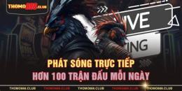 ảnh chụp màn hình đa ga thomo88