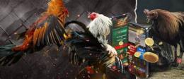 ảnh chụp màn hình da ga. truc. tuyen. casino