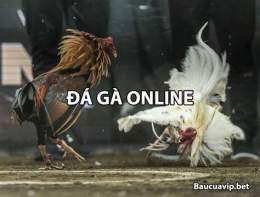 ảnh chụp màn hình đăng ký đá gà online