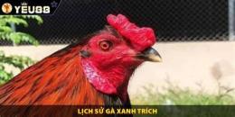 ảnh chụp màn hình gà trích xanh đá