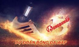 ảnh chụp màn hình ga trong du doan bong da