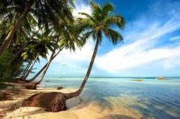 ảnh chụp màn hình gành dầu beach phú quốc