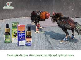 ảnh chụp màn hình giải độc gan cho gà đá