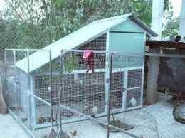ảnh chụp màn hình hướng dẫn làm chuồng gà đá