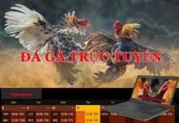 ảnh chụp màn hình kèo đá gà kimsa
