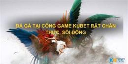 ảnh chụp màn hình kubet có đá gà không