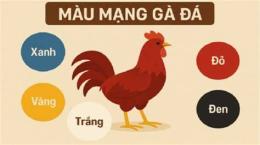 ảnh chụp màn hình màu mạng ngày gà đá