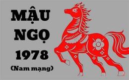 ảnh chụp màn hình ngày mậu ngọ đá gà gì