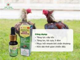 ảnh chụp màn hình thuốc tăng bo gà đá cựa sắt