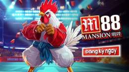 ảnh chụp màn hình trang đá gà uy tín thomo