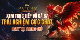 ảnh chụp màn hình truc tiep da ga sabong 67
