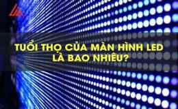 ảnh chụp màn hình tuổi thọ tối đa của con gà