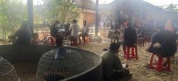 ảnh chụp màn hình vụ bắt đá gà ở tiền giang